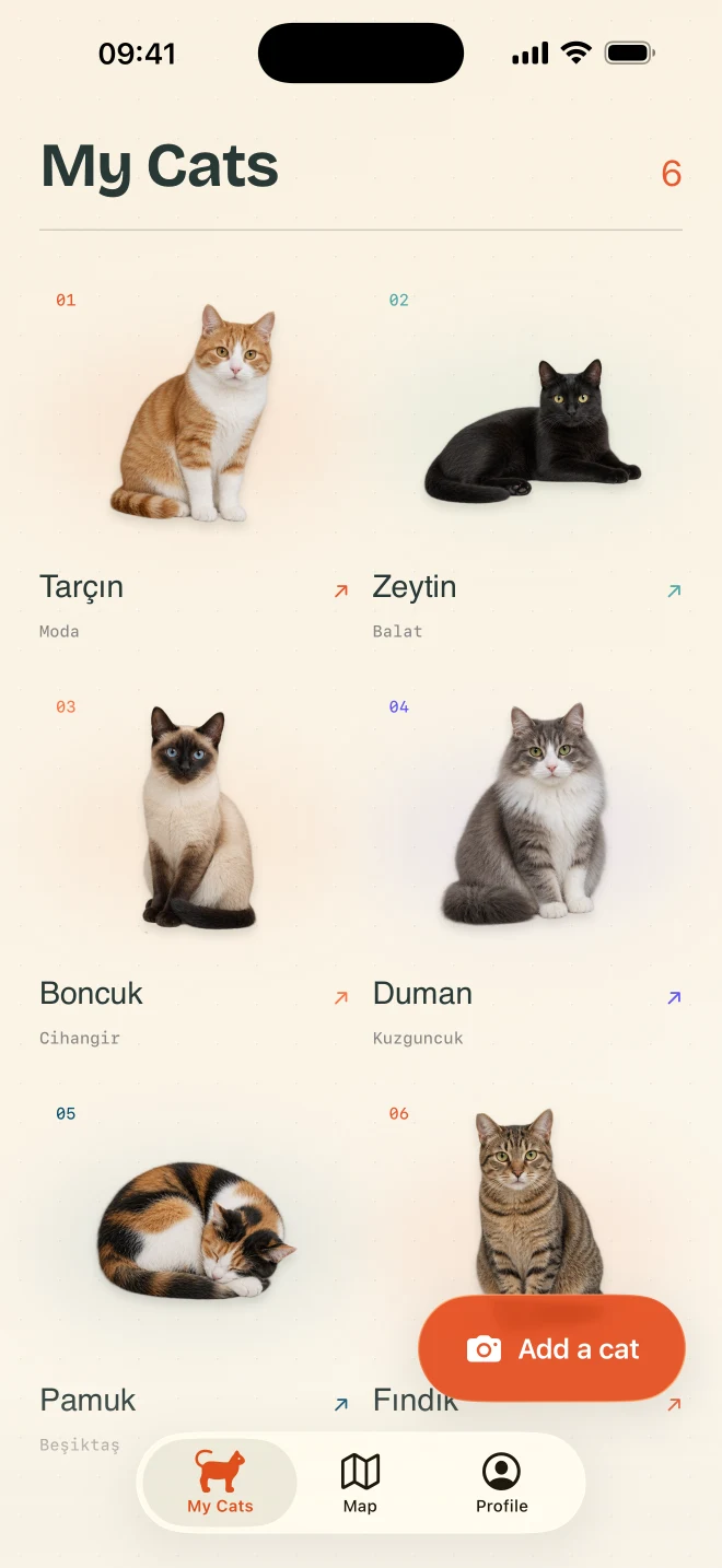 The My Cats collection shows six photographed cats, with names and Istanbul neighborhoods.