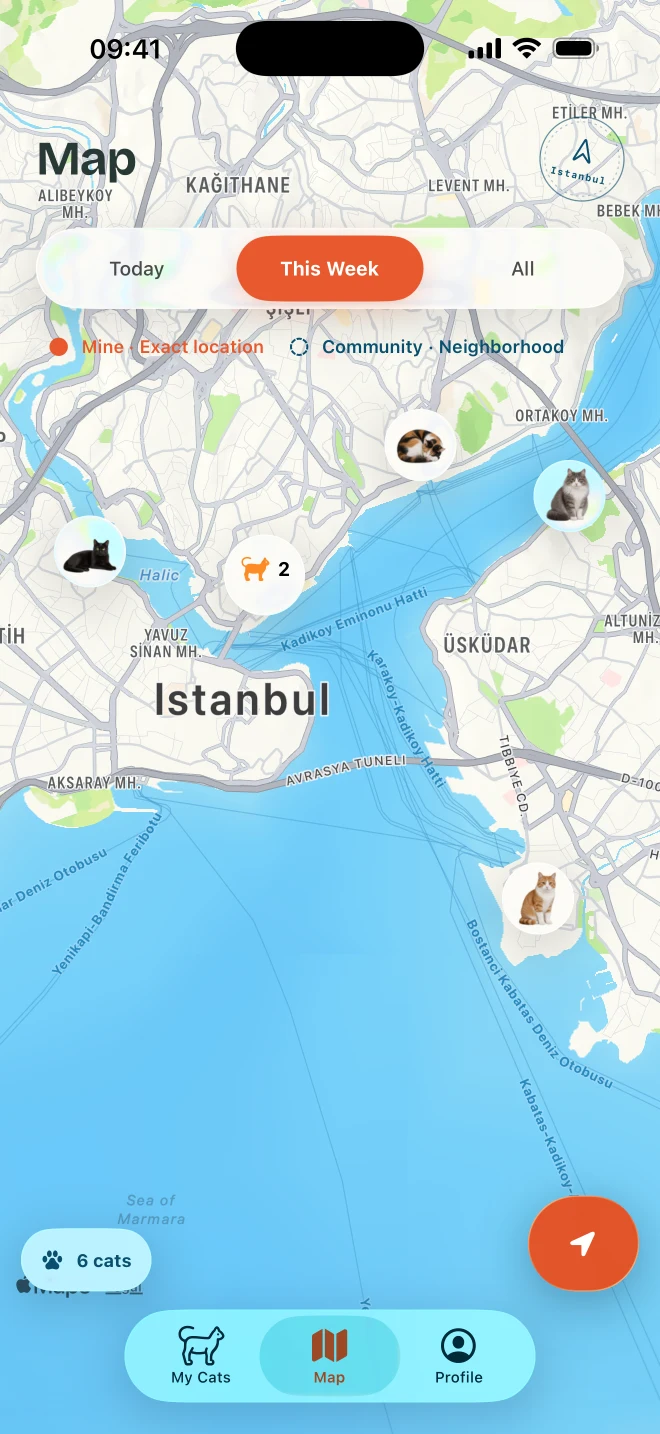 An Istanbul map shows cat encounters across neighborhoods on both sides of the Bosphorus.